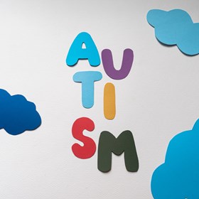 Blog En dan blijkt het toch autisme te zijn…