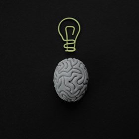 Blog Wat doet trauma met je brein?
