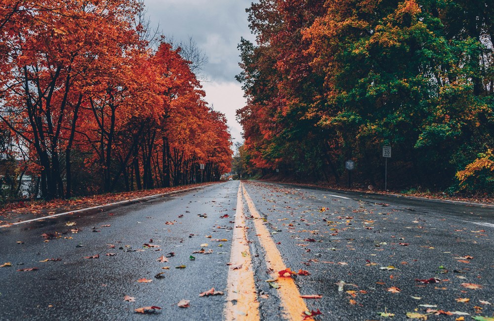 Seizoensgebonden depressie: voorbereiding op de herfst
